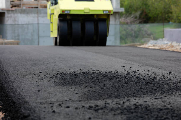 Best Residential Driveway Paver Services  in Virginia Beach, VA