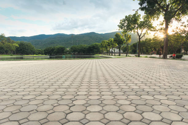 Best Driveway Pavers Near Me  in Virginia Beach, VA